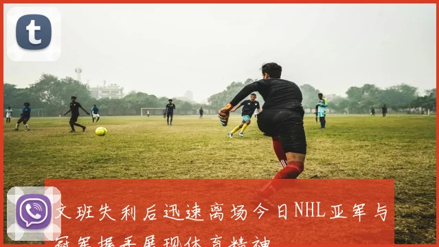 文班失利后迅速离场今日NHL亚军与冠军握手展现体育精神