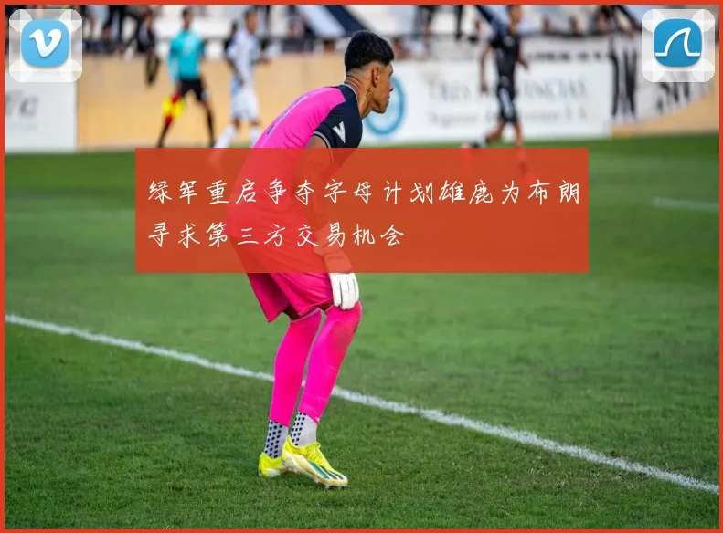 绿军重启争夺字母计划雄鹿为布朗寻求第三方交易机会
