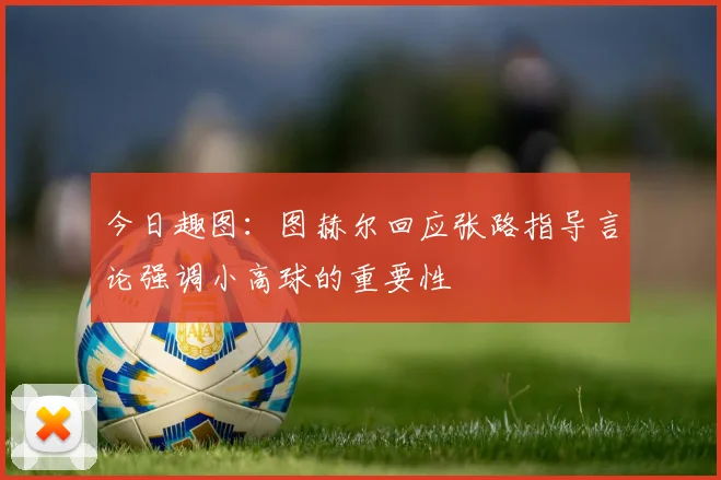 今日趣图:图赫尔回应张路指导言论强调小高球的重要性