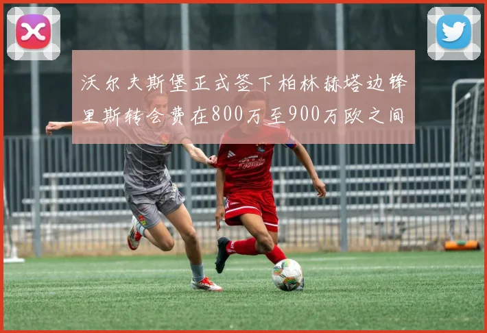 沃尔夫斯堡正式签下柏林赫塔边锋里斯转会费在800万至900万欧之间