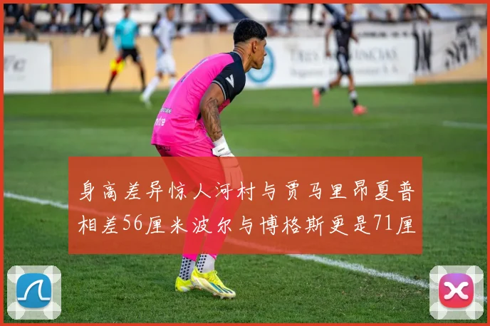 身高差异惊人河村与贾马里昂夏普相差56厘米波尔与博格斯更是71厘米