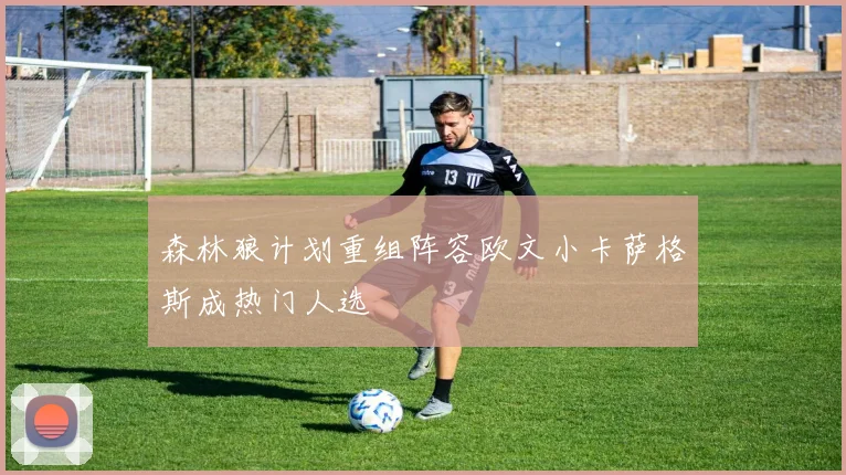 森林狼计划重组阵容欧文小卡萨格斯成热门人选